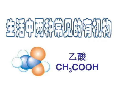高中化学必修2生活中两种常见的有机物2乙酸(ppt)