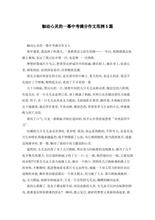 触动心灵的一幕中考满分作文范例5篇