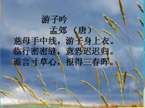 《慈母情深》课件(共32张PPT)