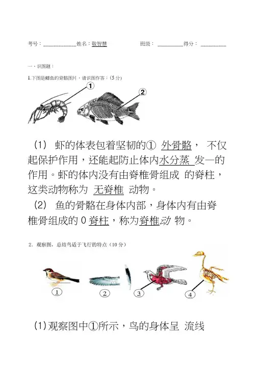 8上识图及改错竞赛(答案).docx