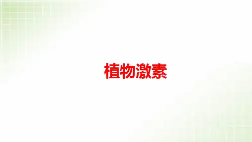 高中生物植物激素调节公开课课件PPT课件