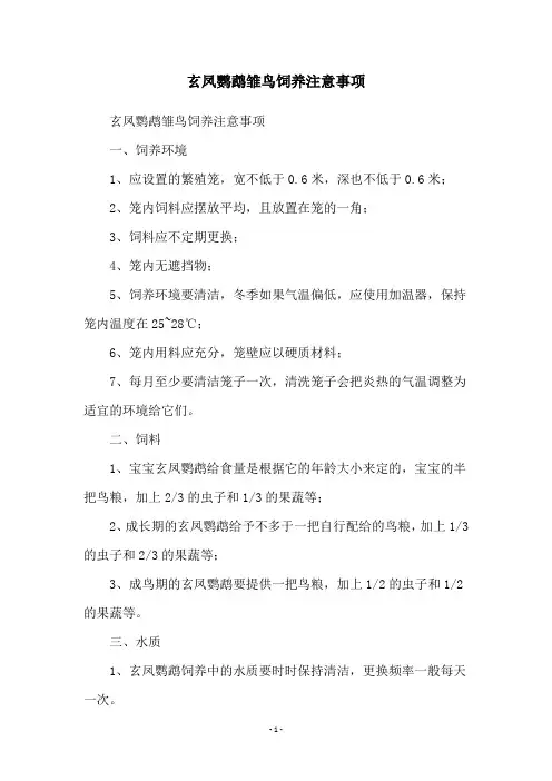 玄凤鹦鹉雏鸟饲养注意事项