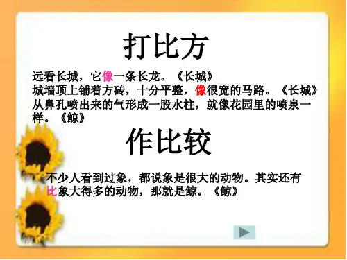 小学的说明方法ppt课件