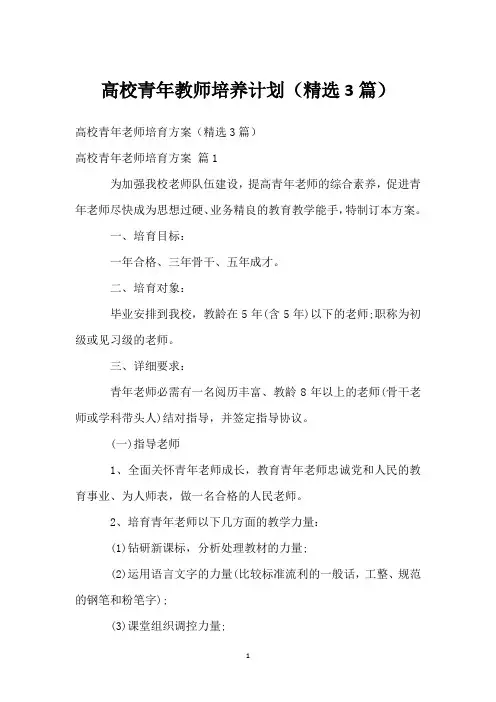 高校青年教师培养计划(精选3篇)