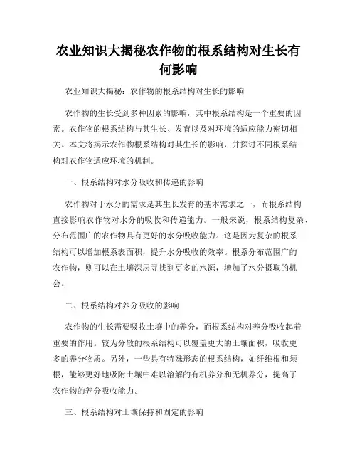 农业知识大揭秘农作物的根系结构对生长有何影响