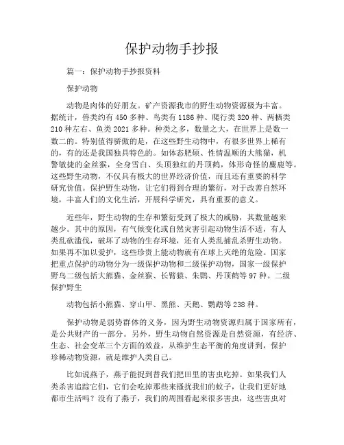 保护动物手抄报