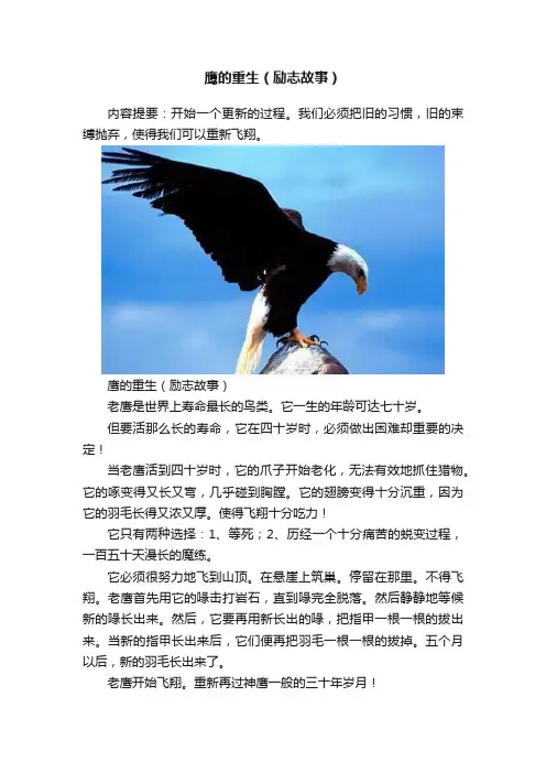 鹰的重生（励志故事）
