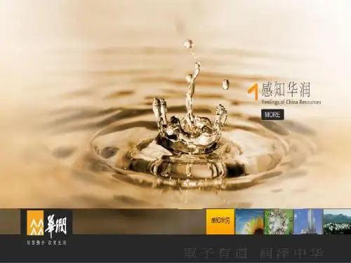国际企业管理