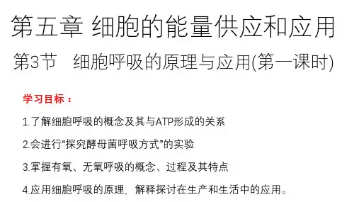细胞呼吸的原理与应用课件