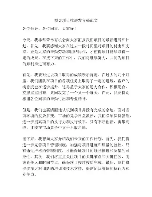 领导项目推进发言稿范文