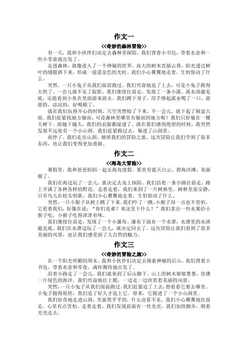 三年级冒险记作文300字