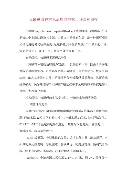 长薄鳅四种常见治病的症状、预防和治疗