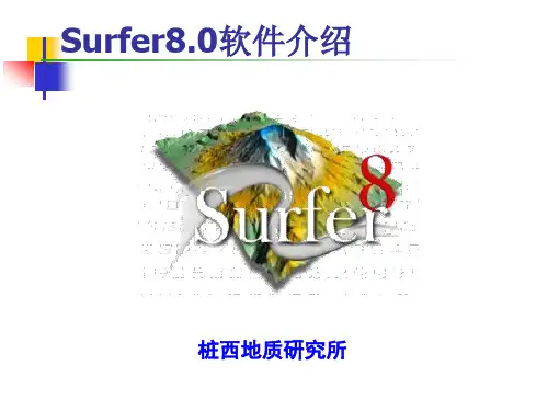 Surfer8.0培训