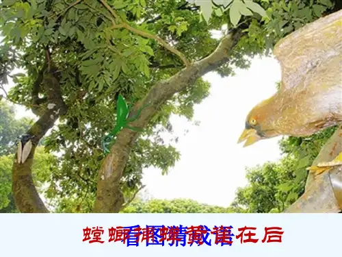 语文人教版九年级下册劝谏类文言文专题复习