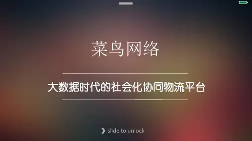 菜鸟网络ppt课件