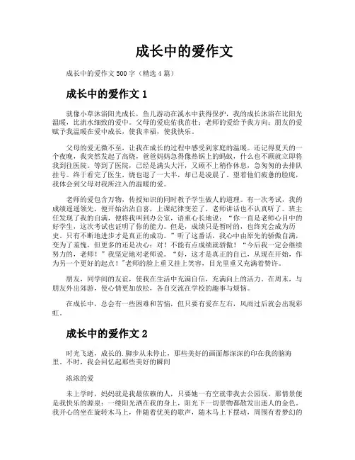 成长中的爱作文