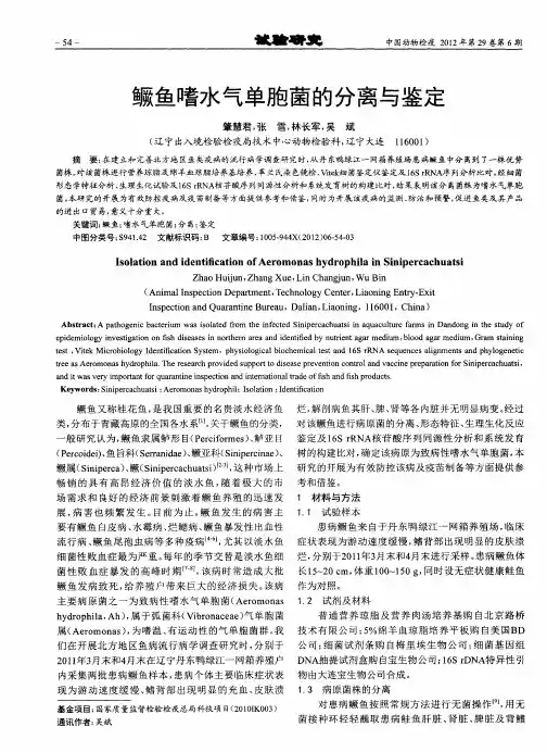 鳜鱼嗜水气单胞菌的分离与鉴定