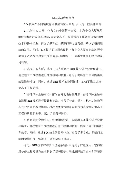 blm成功应用案例
