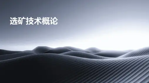 选矿技术概论PPT课件