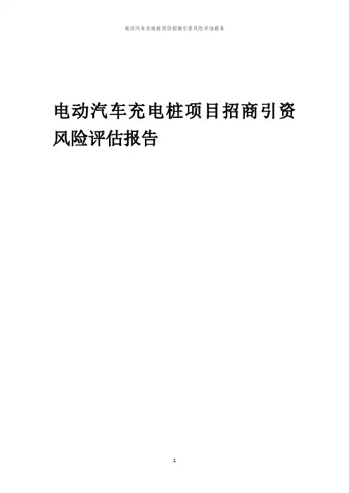 2023年电动汽车充电桩项目招商引资风险评估报告