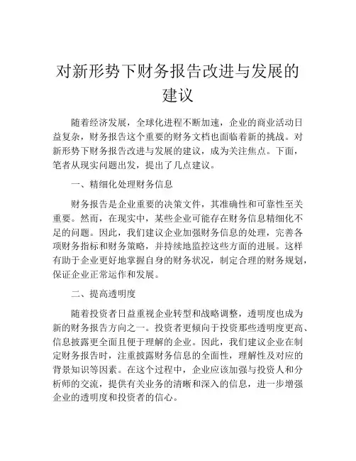 对新形势下财务报告改进与发展的建议