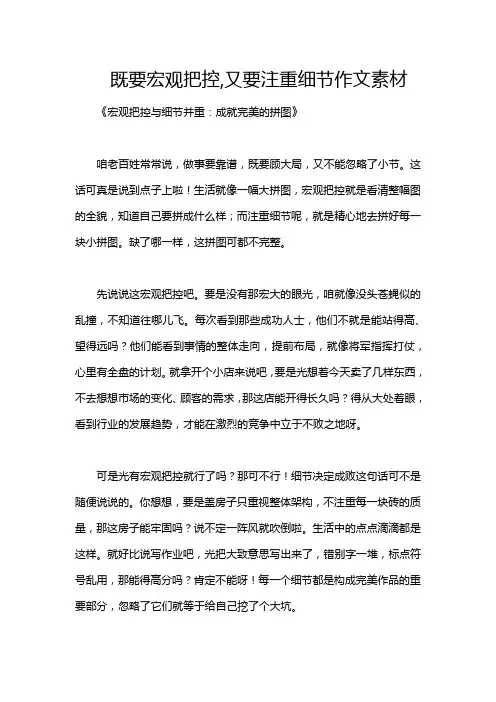 既要宏观把控,又要注重细节作文素材