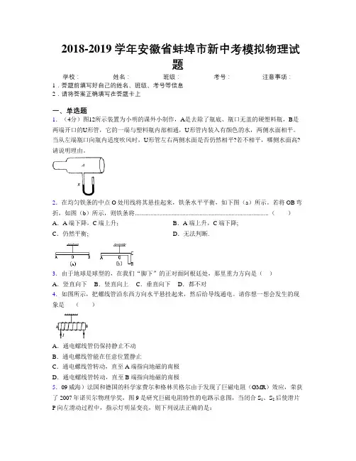 最新2018-2019学年安徽省蚌埠市新中考模拟物理试题及解析