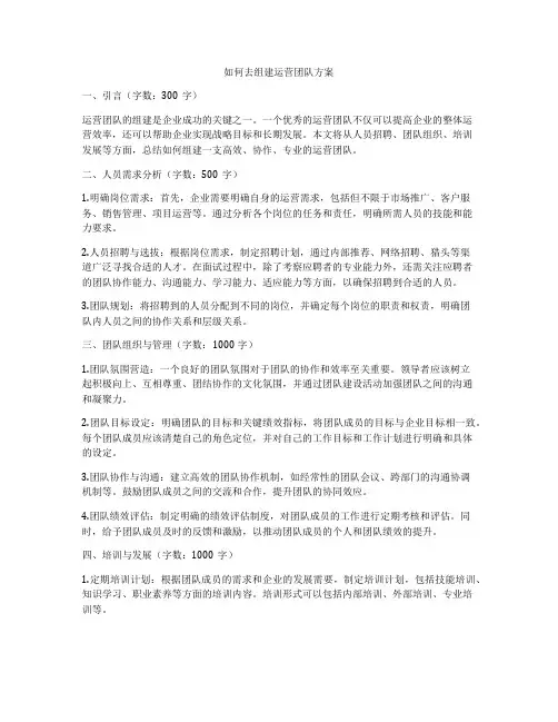 如何去组建运营团队方案