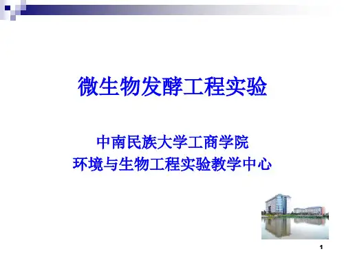 发酵液粘度的测定(精)