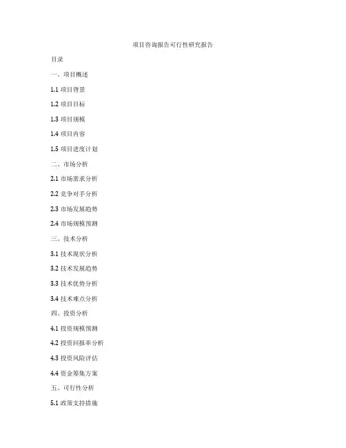 项目咨询报告可行性研究报告