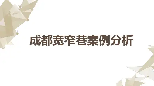 成都宽窄巷案例分析