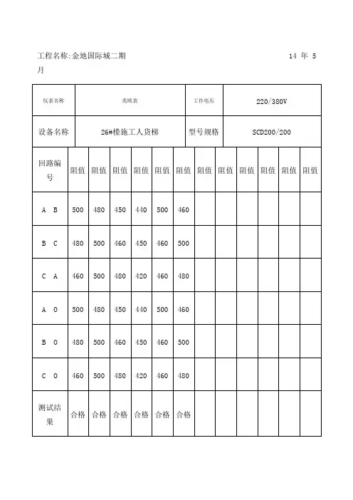 施工现场临时用电绝缘电阻测试记录 