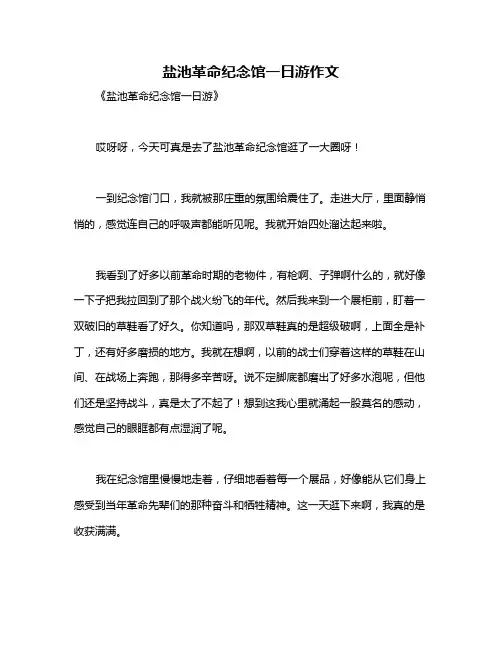 盐池革命纪念馆一日游作文
