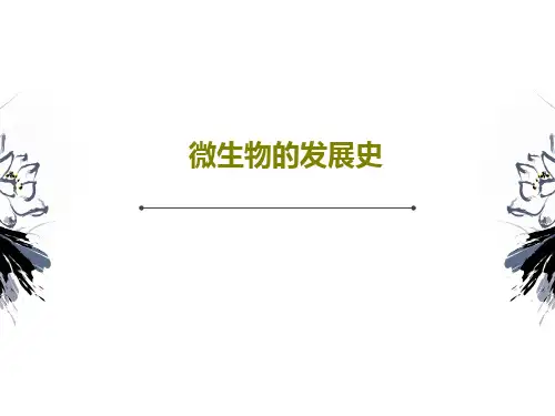 微生物的发展史46页PPT