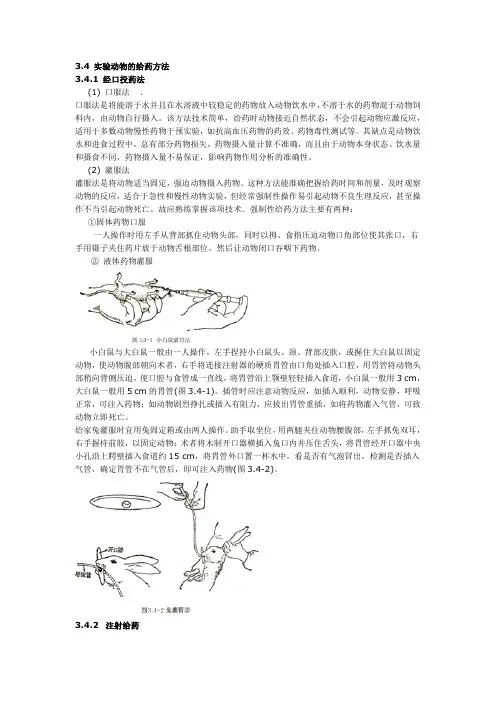 实验动物的给药方法