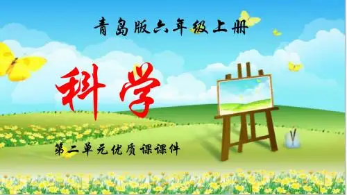 青岛版科学六年级上册第二单元全单元课件【精品】