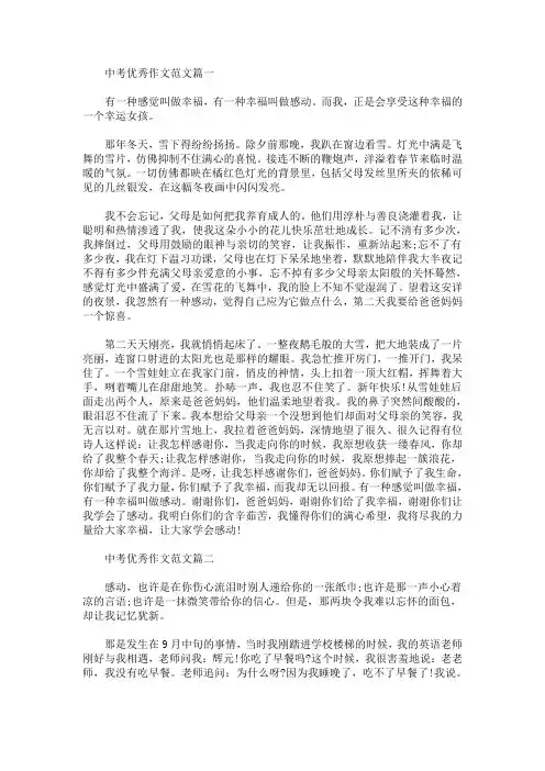 中考优秀作文范文：幸福的感动