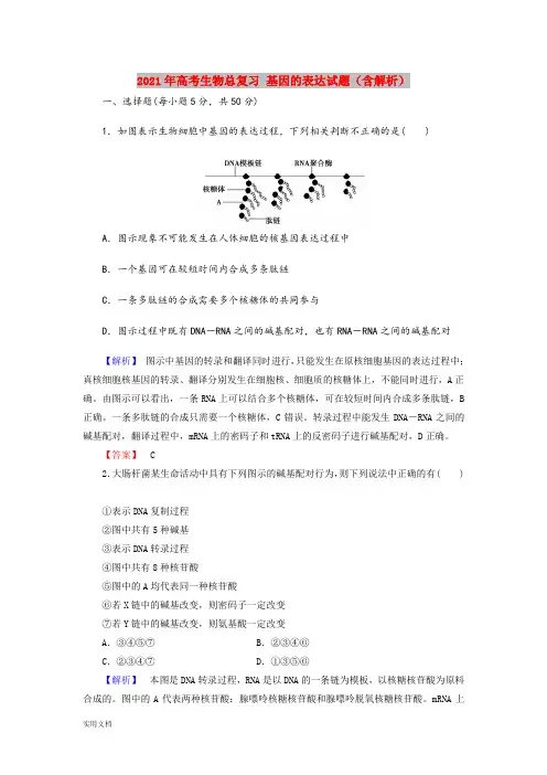 2021-2022年高考生物总复习 基因的表达试题(含解析)
