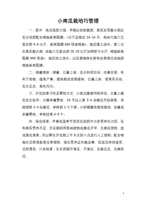 小南瓜栽培巧管理