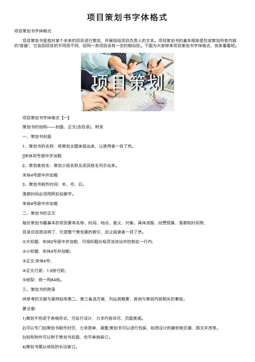 项目策划书字体格式