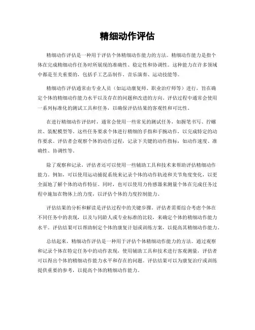 精细动作评估