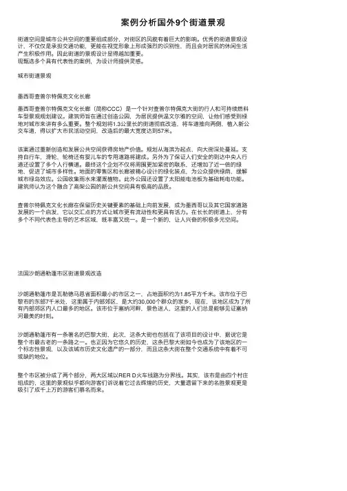 案例分析国外9个街道景观