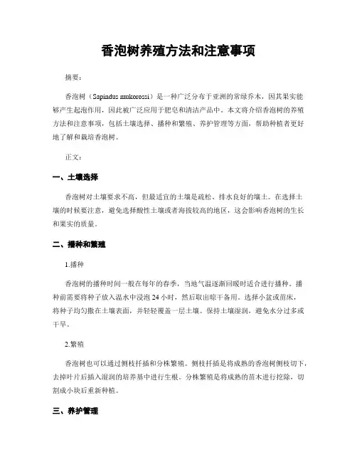 香泡树养殖方法和注意事项