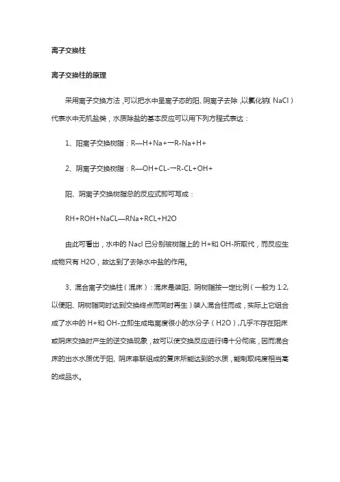 离子交换柱