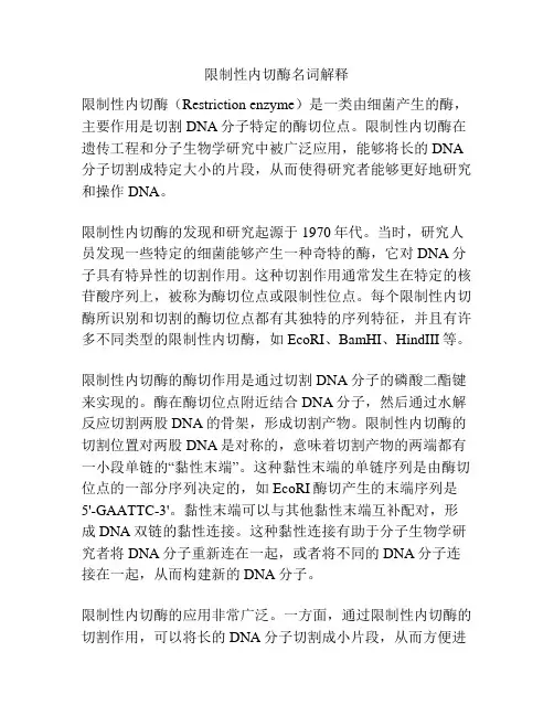限制性内切酶名词解释