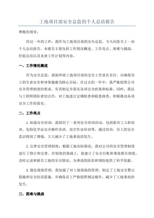 工地项目部安全总监的个人总结报告