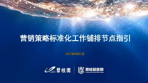 营销策略标准化工作铺排节点指引