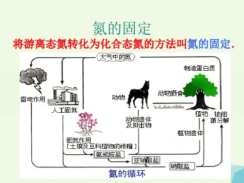高中化学第一章走进化学工业1.2人工固氮技术mdash合成氨课件新人教版选修2.ppt
