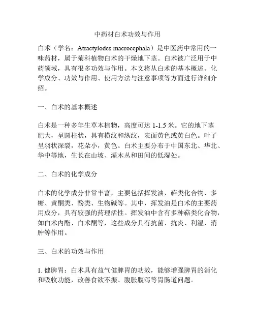 中药材白术功效与作用