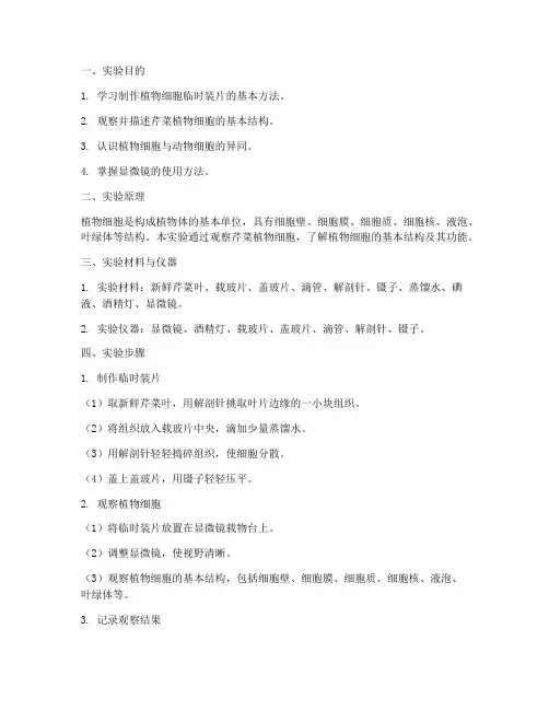 芹菜植物细胞实验报告